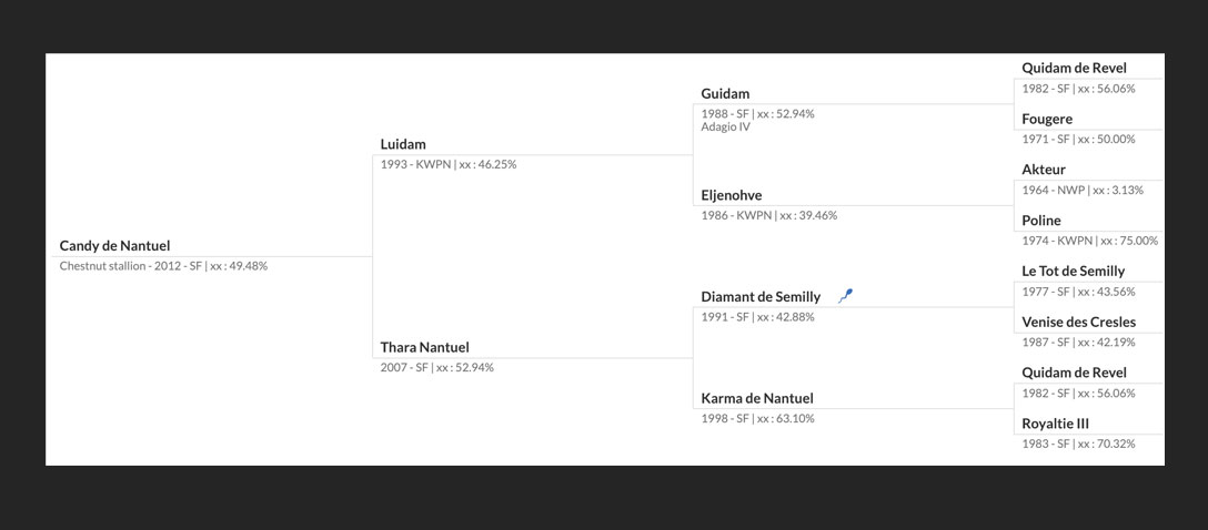 The pedigree of Candy de Nantuel